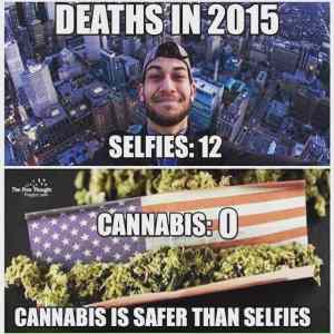 Obrázek 'Cannabis vs. Selfies'