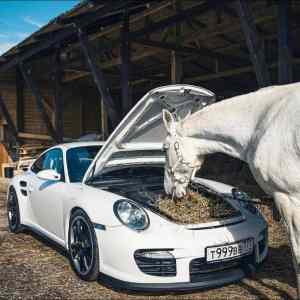 Obrázek 'Car with horse power'