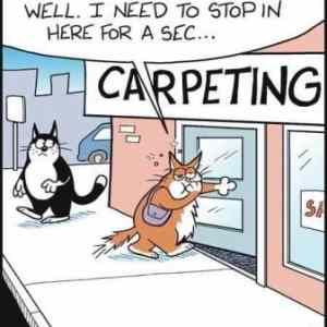 Obrázek 'Carpeting - where PET is at the heart of Caring'