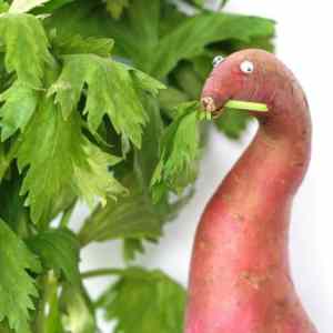 Obrázek 'Carrot'