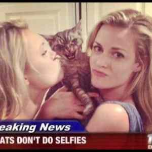 Obrázek 'Cats Dont Do Selfies'