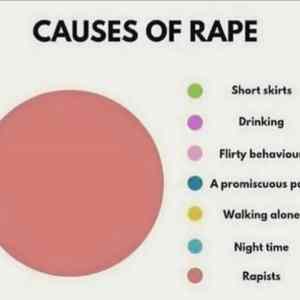 Obrázek 'Causes of rape'