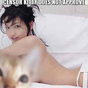 Obrázek 'Censor Kitty Does Not Approve'