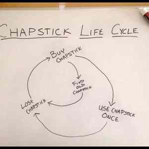 Obrázek 'Chapstick Life Cycle   '