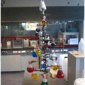 Obrázek 'Chemistry tree      19.12.2012'