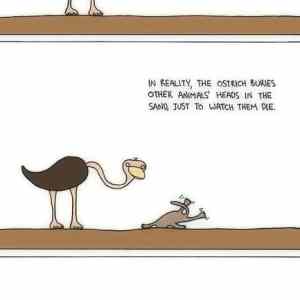 Obrázek 'Cheryl likes ostriches a little too much'