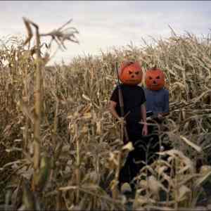 Obrázek 'Children of the Corn'