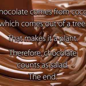 Obrázek 'Chocolate Logic  '