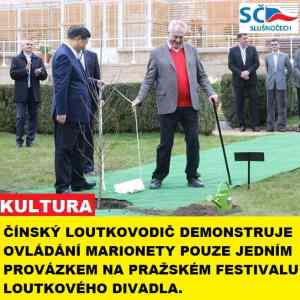 Obrázek 'Cinsky loutkovodic'