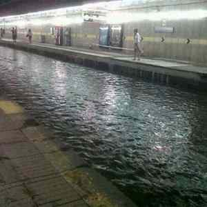 Obrázek 'City swimming pool - 30-05-2012'