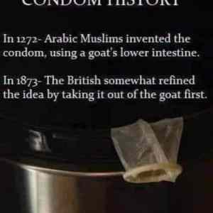 Obrázek 'Condom History'
