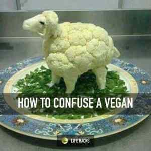 Obrázek 'Confusing a Vegan'