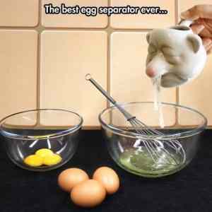 Obrázek 'Cool Egg Separator'