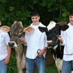 Obrázek 'Country Boys and Their Cows'