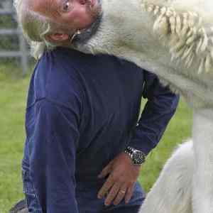 Obrázek 'Dangerous Animal - 16-year old white bear and trainer Mark'