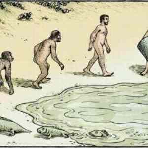 Obrázek 'Darwin theory'