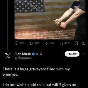 Obrázek 'Elon the ultimate avenger'