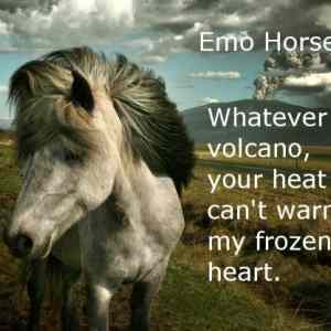 Obrázek 'Emo Horse'