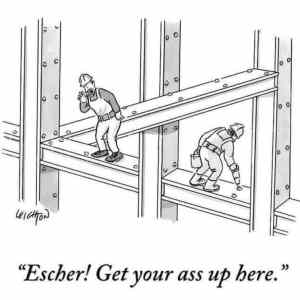 Obrázek 'Escher expertise'