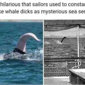 Obrázek 'Ever-seen-a-whale-dick'