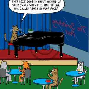 Obrázek 'Feline at the piano'