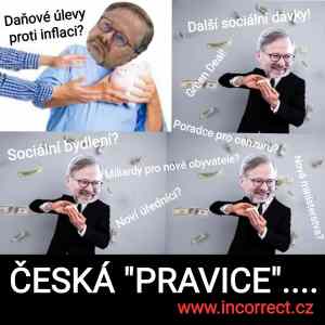 Obrázek 'Fialova neziskovkaaaa'