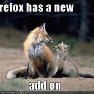 Obrázek 'Firefox has a new'
