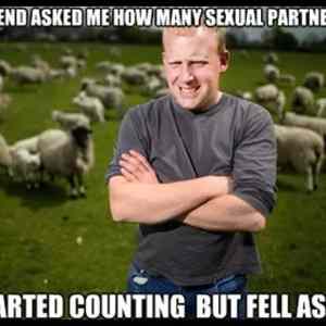 Obrázek 'First world sheep farmer problems'