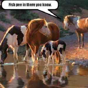 Obrázek 'Fish pee'