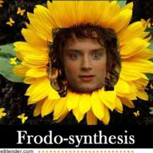 Obrázek 'Frodo'
