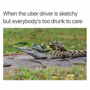 Obrázek 'Frogs taking Uber'