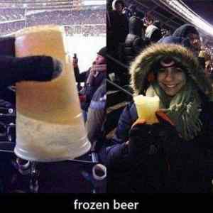 Obrázek 'FrozenBeer'