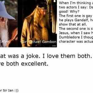 Obrázek 'Gandalf and Dumbledore'