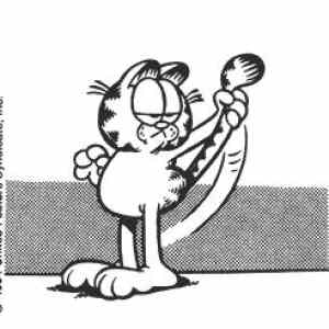 Obrázek 'Garfield science'