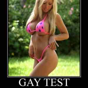 Obrázek 'Gay test - 18-06-2012'