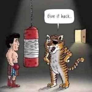 Obrázek 'Give it back Rocky'