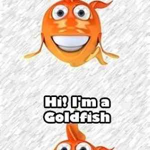 Obrázek 'Goldfish'
