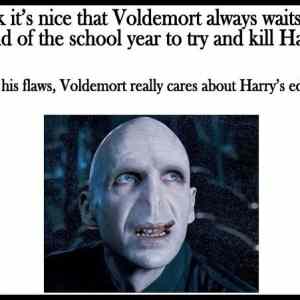 Obrázek 'Good guy Voldemort'