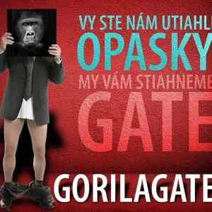 Obrázek 'Gorilagate 01-02-2012'