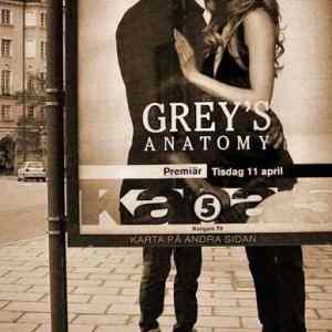Obrázek 'Greys anatomy'