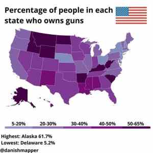 Obrázek 'Guns in the US'