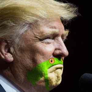 Obrázek 'Have You Noticed That Trumps Chin Looks Like a Frog'