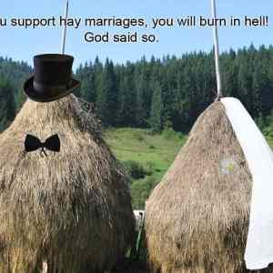 Obrázek 'Hay Marriages'