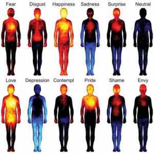 Obrázek 'Heat mapss'