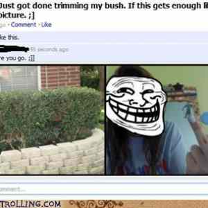 Obrázek 'Her bush'