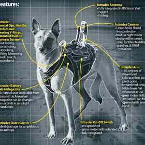Obrázek 'High-tech dog vests the U.S. Army'
