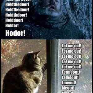 Obrázek 'Hodor Memeee'