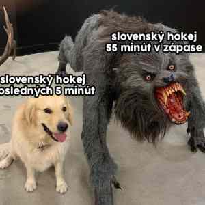 Obrázek 'Hokej slovencky'