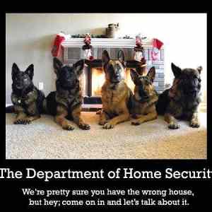 Obrázek 'Home security 30-12-2011'