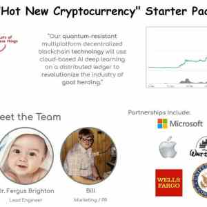 Obrázek 'Hot new shitcoins'